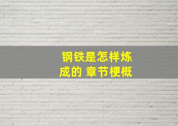 钢铁是怎样炼成的 章节梗概